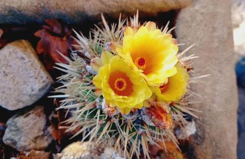 Atelier.Germana - Foto 17