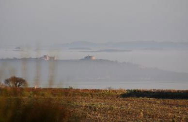 The Rum House - Foto 37