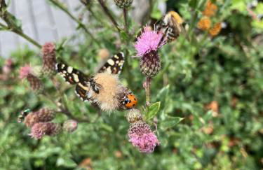 Rhöner Sternenhimmel - Foto 29