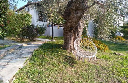 Saint Andrews Bay - Foto 29