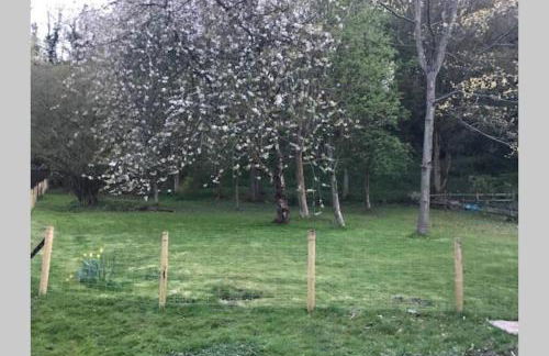 Historic 17th century farmhouse in Wales - Foto 12