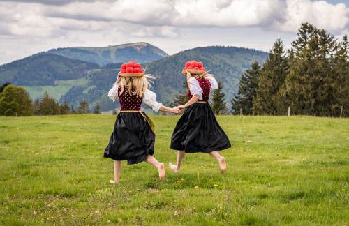 Apartment "Blackforest", Todtnau, 5 Schlafzimmer - Foto 21