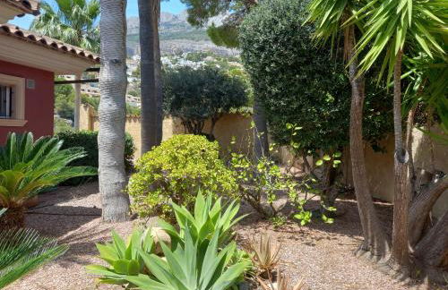 Villa Anna-Altea - Photo 44