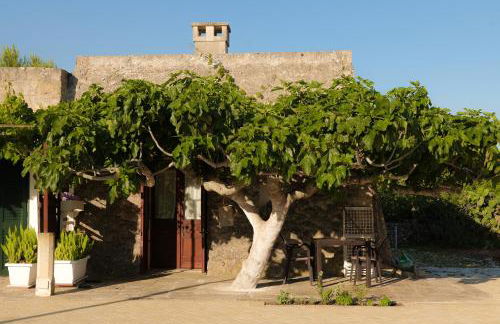 Palacca, trullo salentino - Foto 16