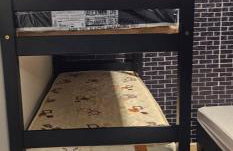 Kit Net paulistana - Foto 16