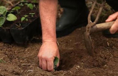 Quinta da Meia Eira - Photo 78