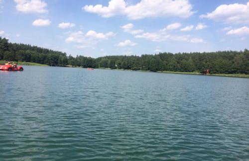 Wiola Verde - Foto 35