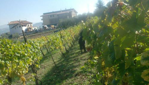 il sentiero del riccio - Foto 3