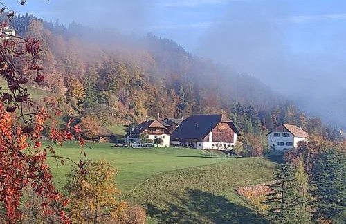 Aschnerhof Auf´m Egg - Photo 36