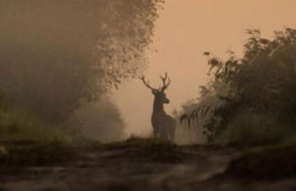 Chez Jeannette - Foto 24