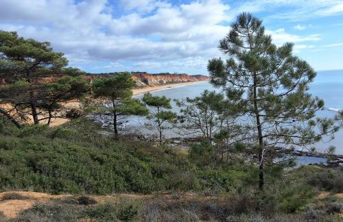 Villa paradise - Foto 39