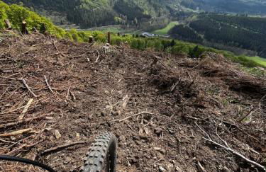 17 AM BERG - Foto 63