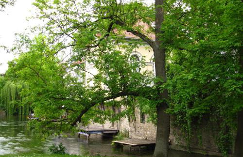 Ferienwohnung Erfurt - Foto 21