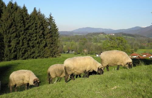 Ferienwohnung Fritzenwenger - Foto 40