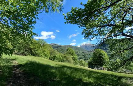 Lake in Nature - Foto 16