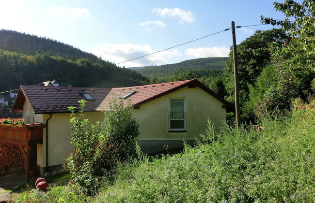 Meadow View Cottage in Winterstein Thuringia near Ski Area - Foto 22