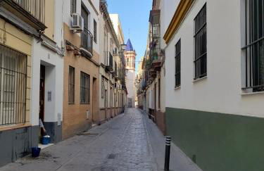 Apartamento Jardin de Santa Paula - Foto 16