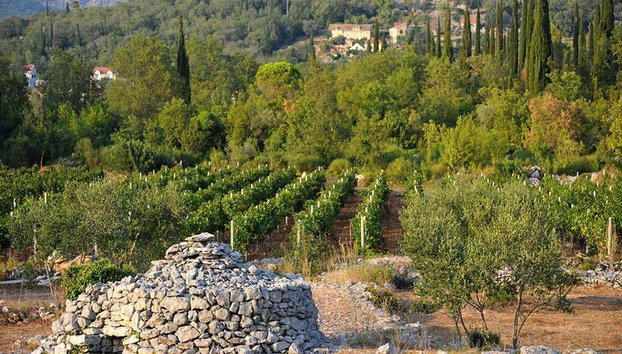 Descubre Konavle – Tour privado de un día entero - Foto 2