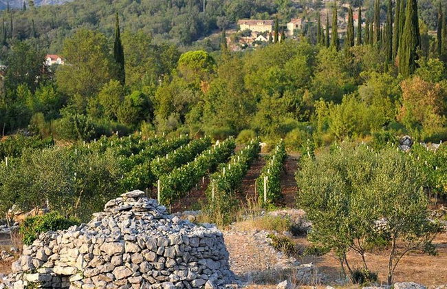 Descubre Konavle – Tour privado de un día entero - Foto 2