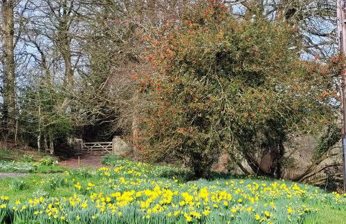 Ponycob hot tub 2 bed ensuite - Photo 17