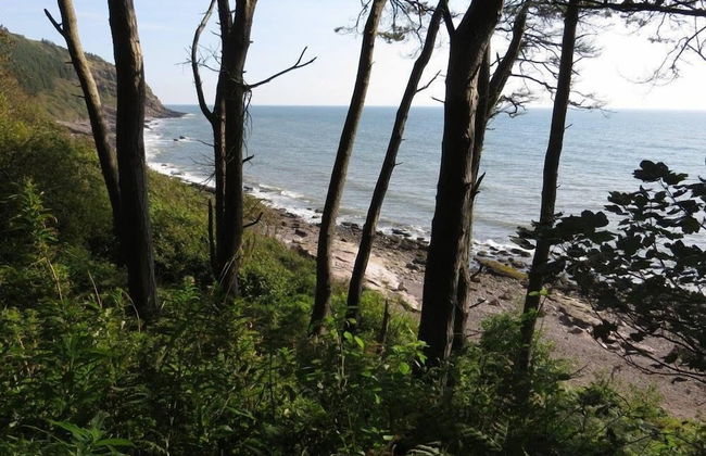 Cutlar's Lodge - Foto 46