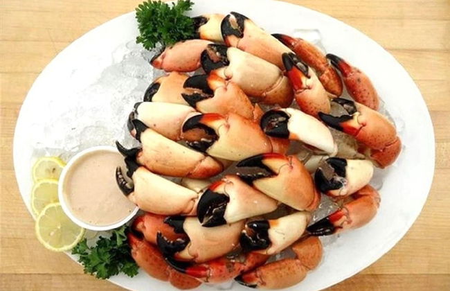 1 Beautiful 4 Bed 3 Bath Pool Home w Free Dock - Foto 36