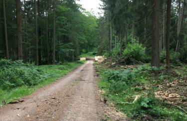 Wildblick Appartment Hof Grindelborn - Foto 20