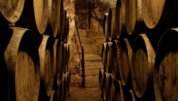 Tour in Lapuebla de Labarca - Photo 4