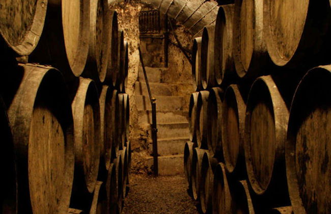 Visite du domaine viticole de Jilabá avec dégustation de vin - Photo 3