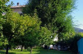 Appartment Lodged Mamma Maria - Foto 28