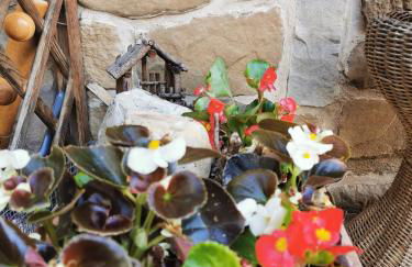 Casa Phoenix Appartamento piano terra immerso nel verde a pochi minuti dalla ciclabile - Foto 10