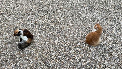 Charmant 110m2 avec jardin privé - Foto 3