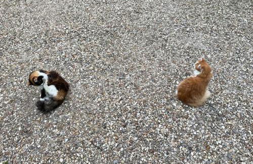 Charmant 110m2 avec jardin privé - Foto 3