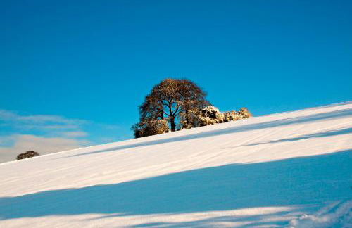 Manor Farm Courtyard Cottages - Foto 46
