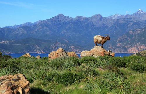 Residenza l 'Alivetu - Foto 60