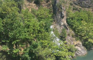 Konitsa Primula - Photo 24