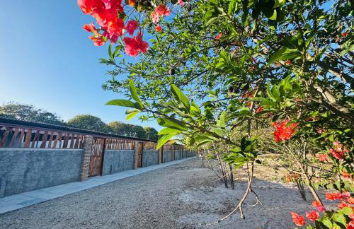 Hotel Fazenda Alta Vista - Photo 37