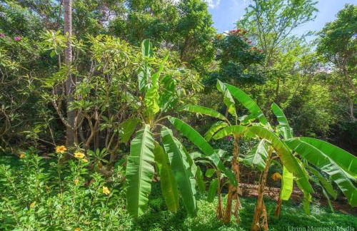 Tiki Tiki - Gorgeous Boho Beach Hideaway! - Foto 37