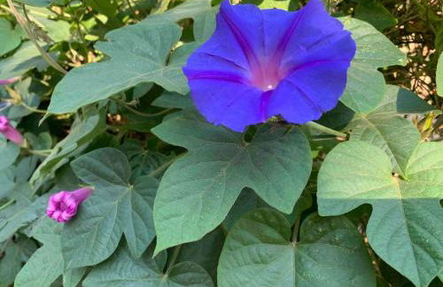 Maison de la marina piscine - Foto 30