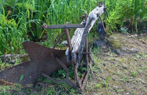 Casa Campo das Bizarras - Foto 65