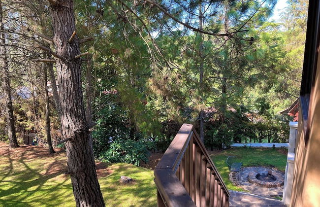 Cabaña El Roble Mazamitla - Foto 27