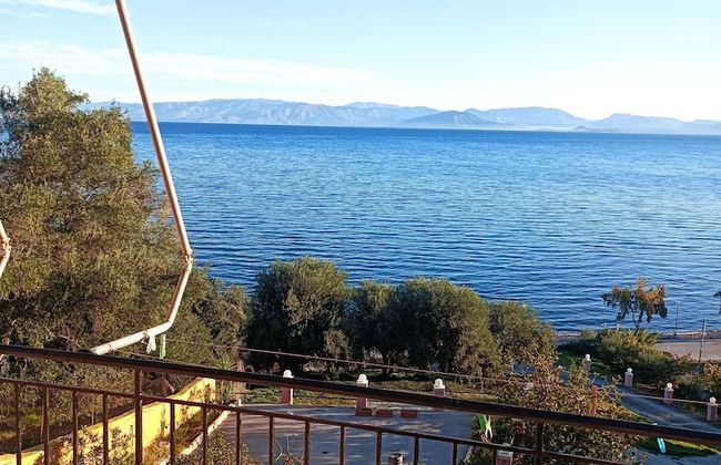 Angelica Rooms & Apartments - Photo 51