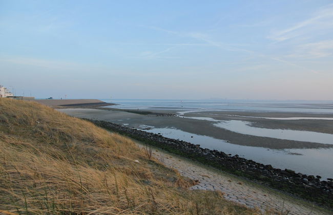 Luxury Villa in Texel - Photo 24