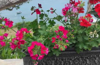 Romantic Apartment Sonja, Beachfront - Foto 61