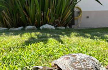 Cafofos da Zeta, Cozy Pool House - Foto 10