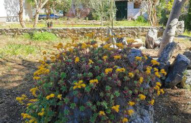 Apartman Soto - Photo 24