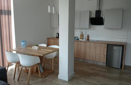 Apartamenty Kasztanowa Zator - Foto 43