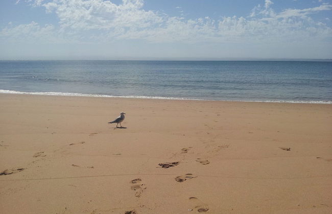 61 Redrocks Retreat - Foto 9