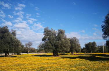 le dimore di MaMa - Foto 45