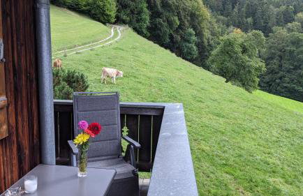 Ferienwohnung Oberrißglück - Photo 16